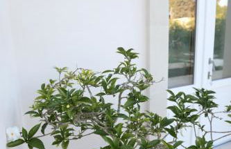 Podere 43 Charme B&B - Foto 32