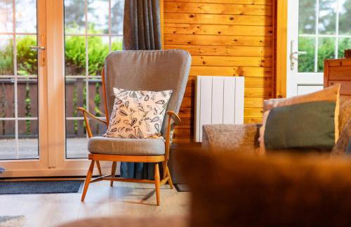 Rural Log Cabin in Snowdonia near Coed y Brenin by Seren Short Stays - Foto 10