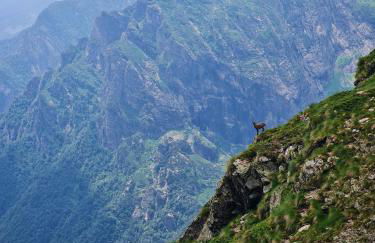 La Cà Granda, quiet house with mountain views - Photo 41