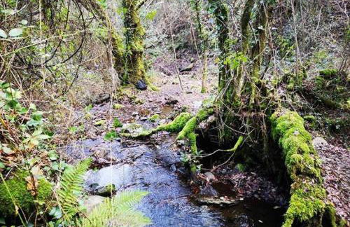Casa do Ti Toninho - Foto 30