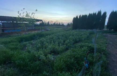 FINCA EL CERRO - Foto 7