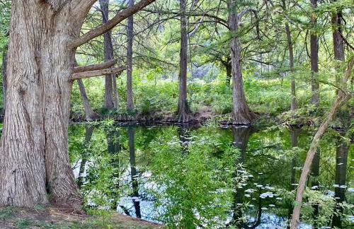 Sparkling Frio - Foto 20