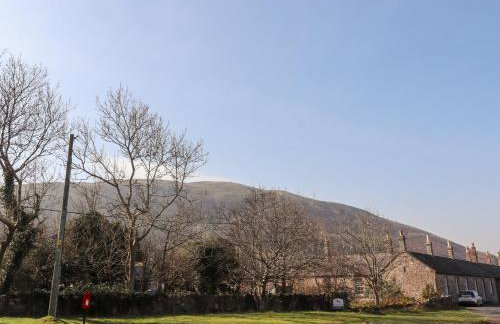 Pansy Plot - Photo 46