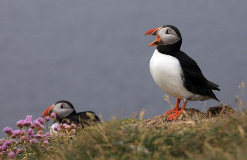 Riff Farmhouse, ideal for exploring Orkney - Photo 19