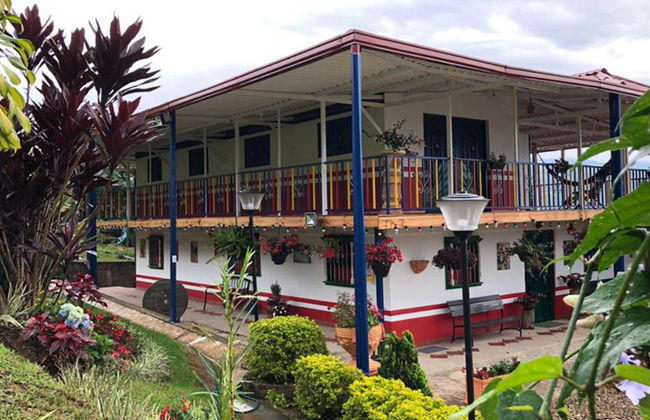 Besuch einer Kaffeefarm in Salento mit Mittagessen – Halbtages-Wanderung - Foto 2