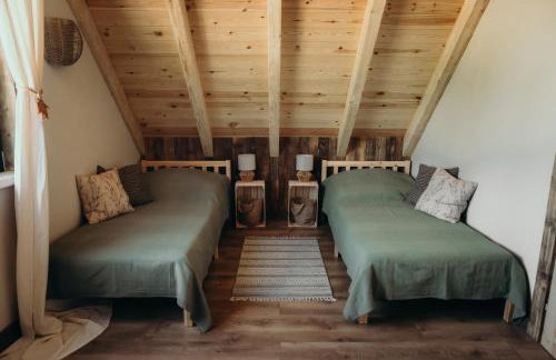 Mech i brzoza - Foto 41