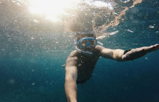 Koh Samui Island Hopping e mergulho com snorkel: Ilha dos Corais e dos Porcos - Tour de dia inteiro - Foto 8