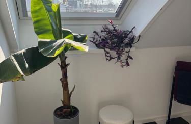 Zentrale Lage, kostenlos Parken, ideal für Pendler, Kinder und Haustiere willkommen!! - Photo 19