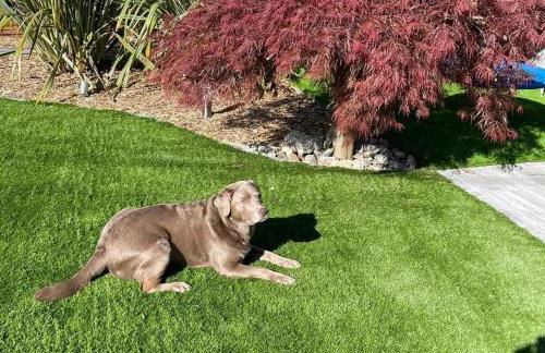 The Lake - Casa Vacanza - Foto 42