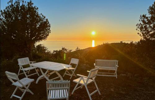 Domaine de la Coletta Maison traditionnelle - Photo 14