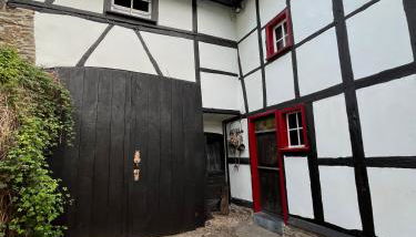 Noah - Seeleben auf Zeit am Rursee - Foto 4