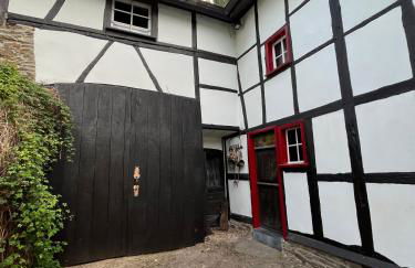 Noah - Seeleben auf Zeit am Rursee - Foto 4