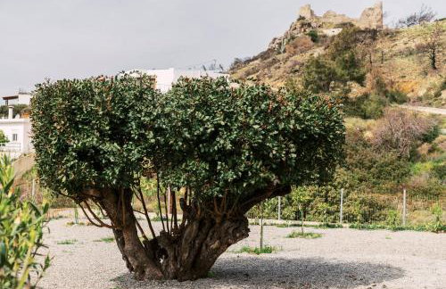 Alonia View House - Foto 41