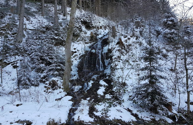 Adorable Aparment in Wildemann With Parking - Foto 50