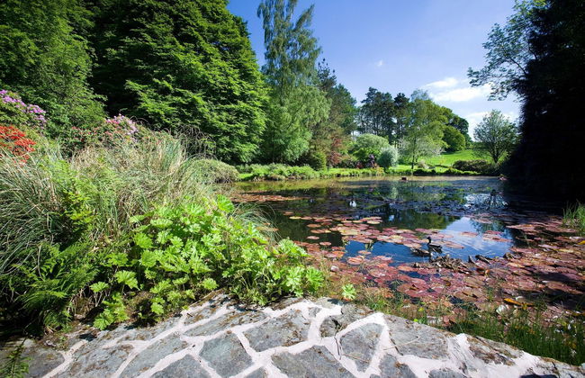 Lindeth Fell Country House - Photo 6