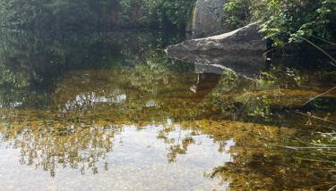 Tresahor Studio with sauna - Foto 4