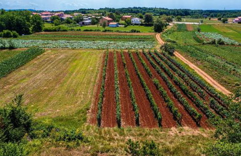 Villa Grandi - Foto 26