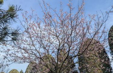 Agriturismo Boschetto - Foto 25