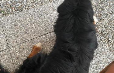 La casa di Noah - Foto 58