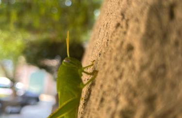 Mas Grenadine, magnifique villa du Piémont Cévenol - Foto 54