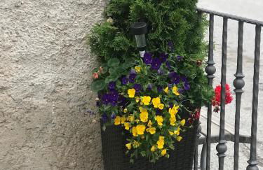 Casa Paolina - CIPAT 57814 - Photo 31