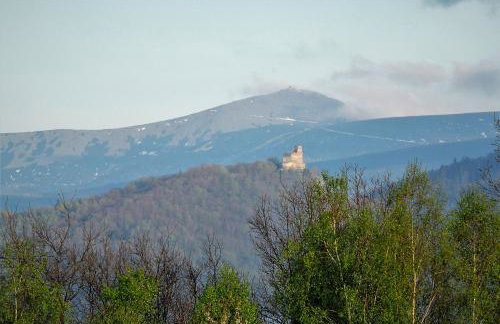 Przytulne Studio Borówkowy Zagajnik - Foto 38