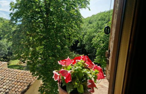 Molino di Cogno - Foto 17