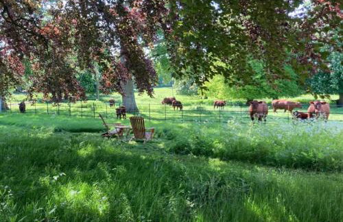 The Dovecote - Foto 8