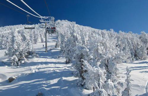 Mountainback 47 - Foto 21