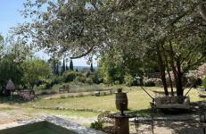 Villa la Roma - Foto 3