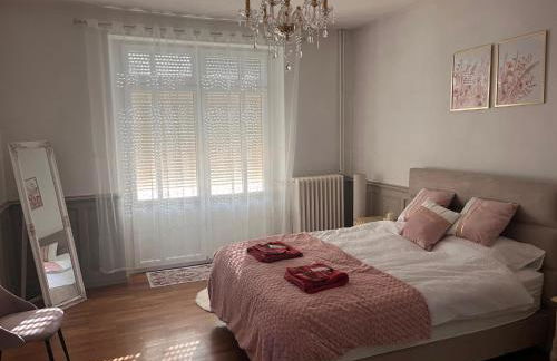 Jardin de Victor Appartements calmes spacieux avec jardin clos - Foto 20