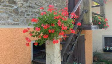 La Cella Lizzano Pistoise - Foto 4