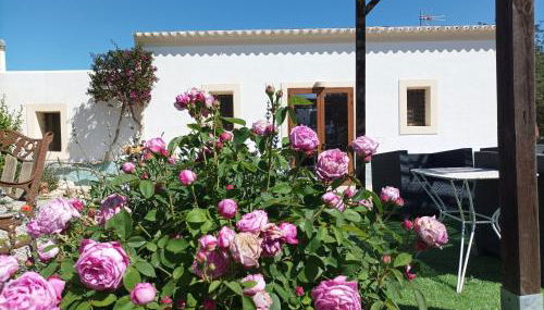 Can Pep Pardal - Foto 5, Garden view