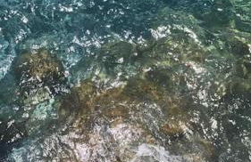 Vista Portofino - Foto 34