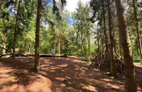 Haus Seerose direkt am Harkebrügger See Neubau! - Foto 24