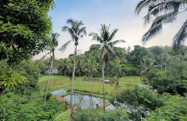 Kelusa Hill - Foto 13