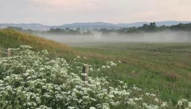 Migdale Pods Luxury Glamping - Foto 5