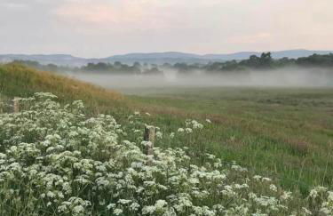 Migdale Pods Luxury Glamping - Foto 5