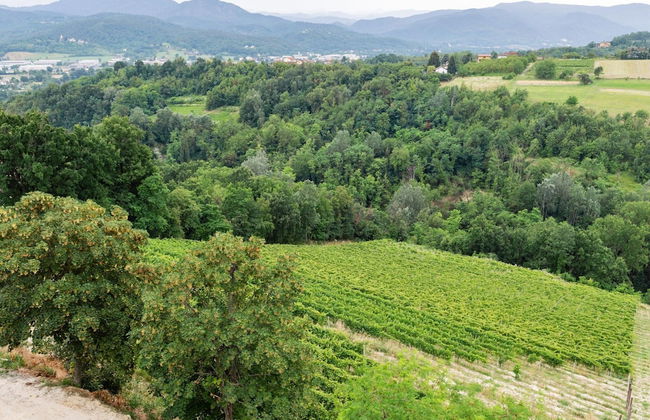 Mansion in Ovada With Pool and Scenic Hills - Foto 36