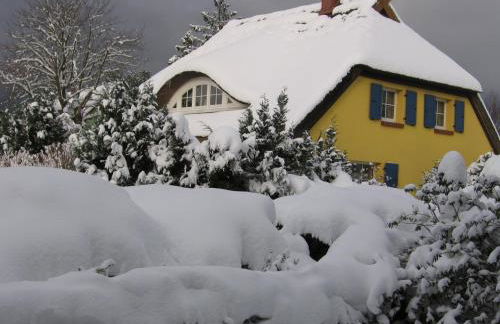 Ferienwohnungen Reetwinkel in Wieck - Foto 40