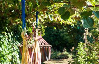 Reitoral de Chandrexa - Foto 68