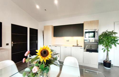 Appartement Pinede Man Yelle - Foto 17