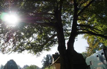 West Cottage, Cerne Abbas Lane - Photo 23