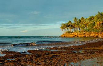 Chalé Aroeira Taiba - Foto 33