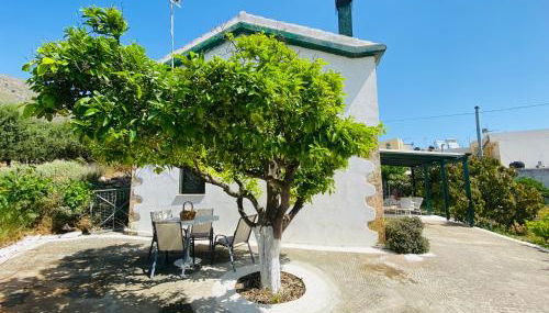 The Green Home - Foto 5