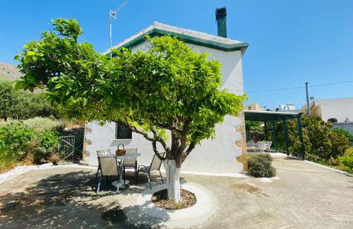 The Green Home - Foto 5