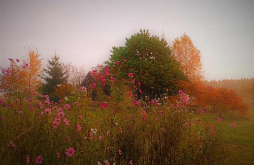 Butterfly Factory - Foto 38