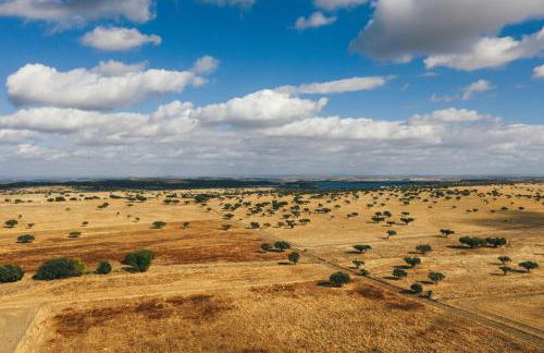 Pateiro da Silva Family Farmers - Foto 10