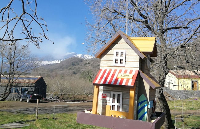 Viola nel Parco - Foto 79