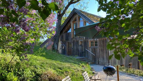 Chalet Landsberg - Foto 3, Garden